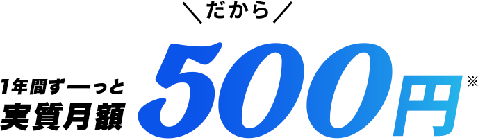 1年間ずーっと実質月額500円