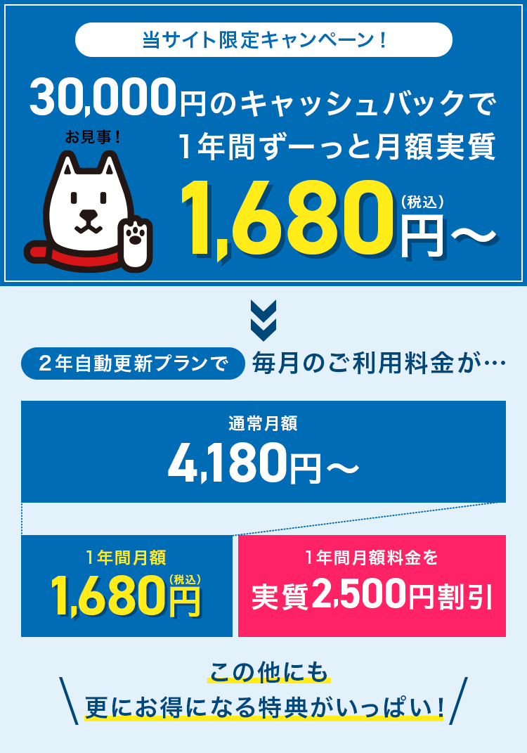当サイト限定キャンペーン！30,000円のキャッシュバックで1年間ずーっと月額実質1,680円(税込)～