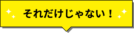 それだけじゃない！