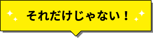 それだけじゃない!