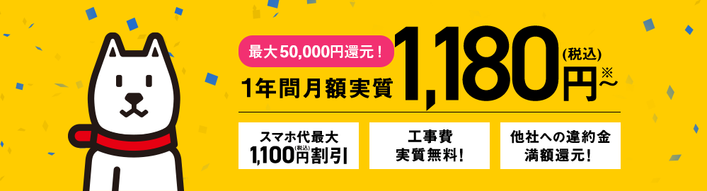 最大50,000円還元!1年間月額実質1,180円～