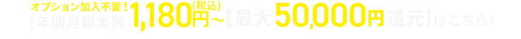 最大50,000円還元はこちら！