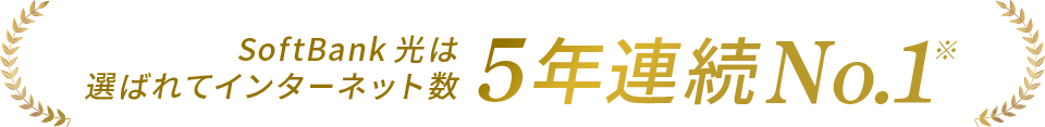 選ばれてインターネット数 5年連続No.1